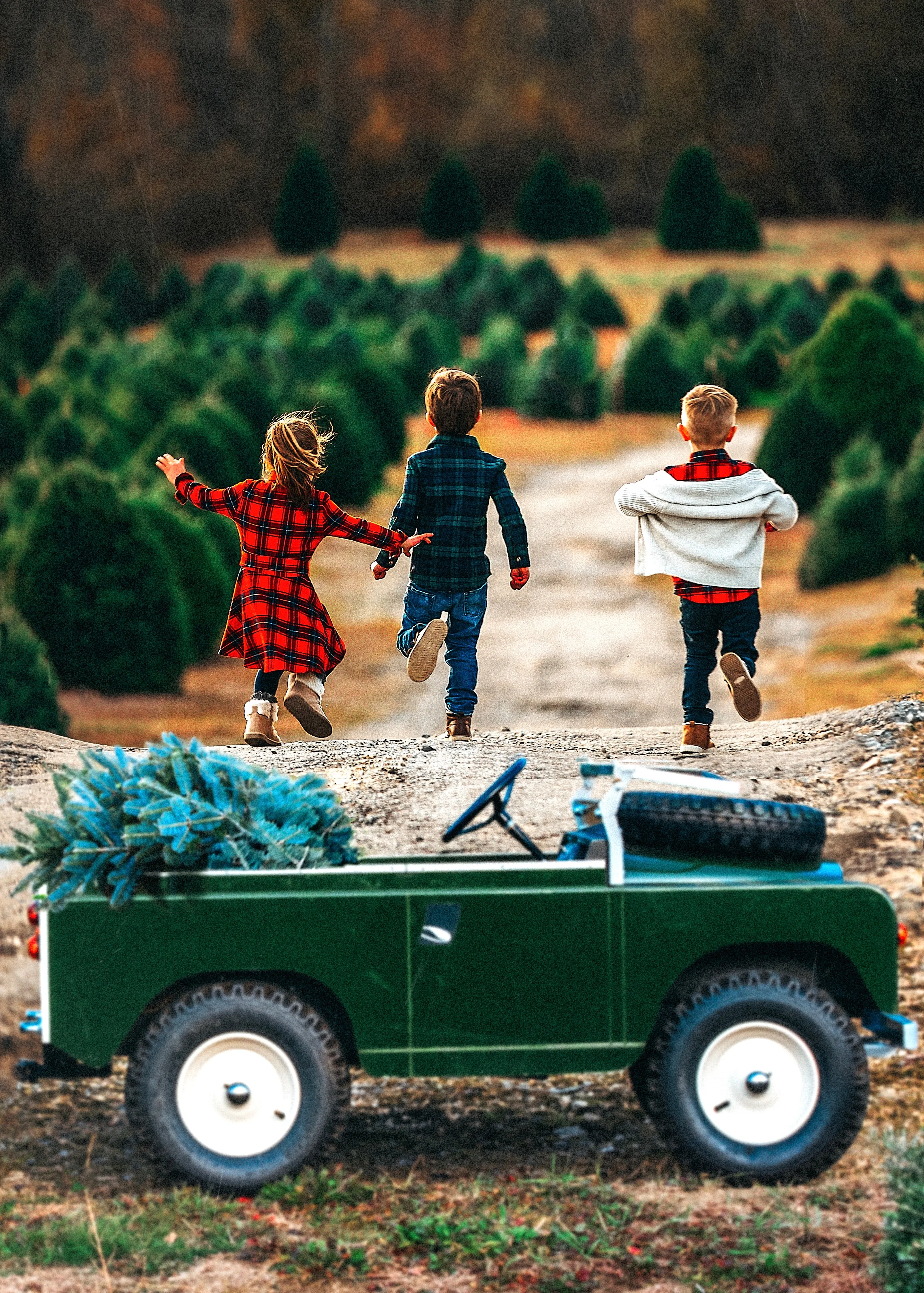 Apple Pie Skillet Kids Flannel Dress