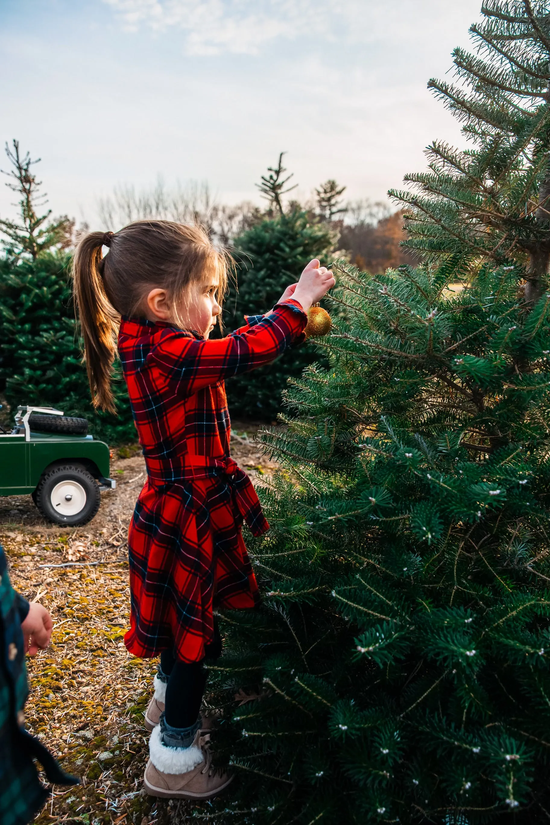 Apple Pie Skillet Kids Flannel Dress