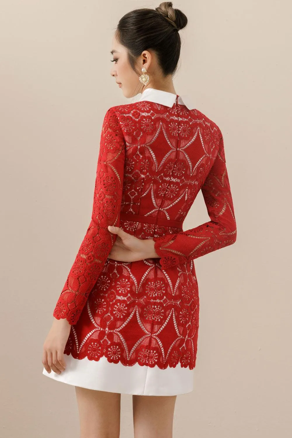 Isabella A-line Long Sleeved Lace Mini Dress