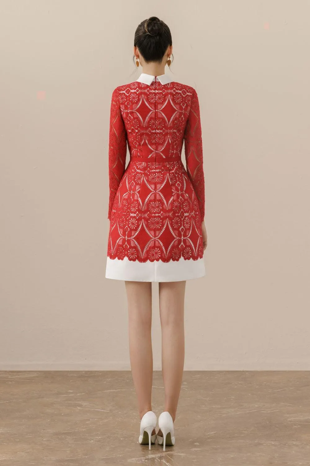 Isabella A-line Long Sleeved Lace Mini Dress