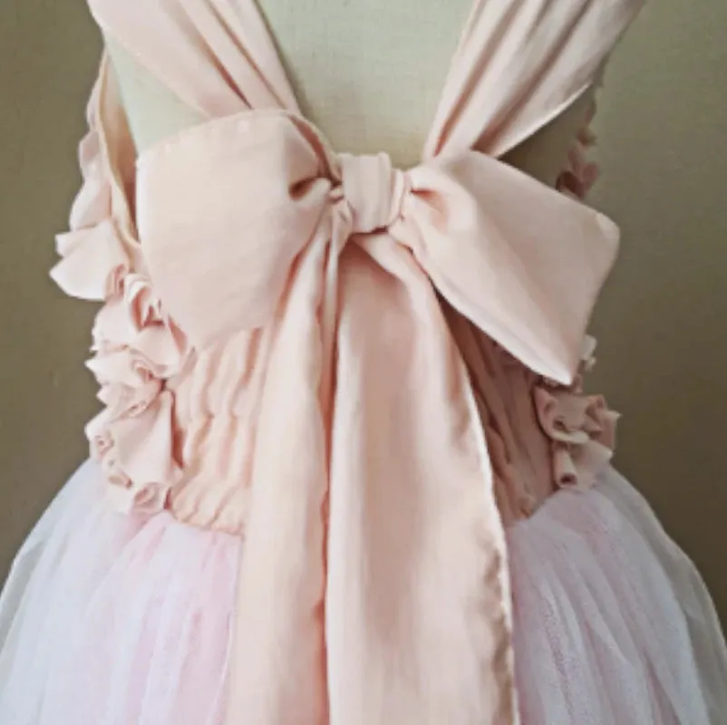 Sia Soft Blush Floral Tulle Dress