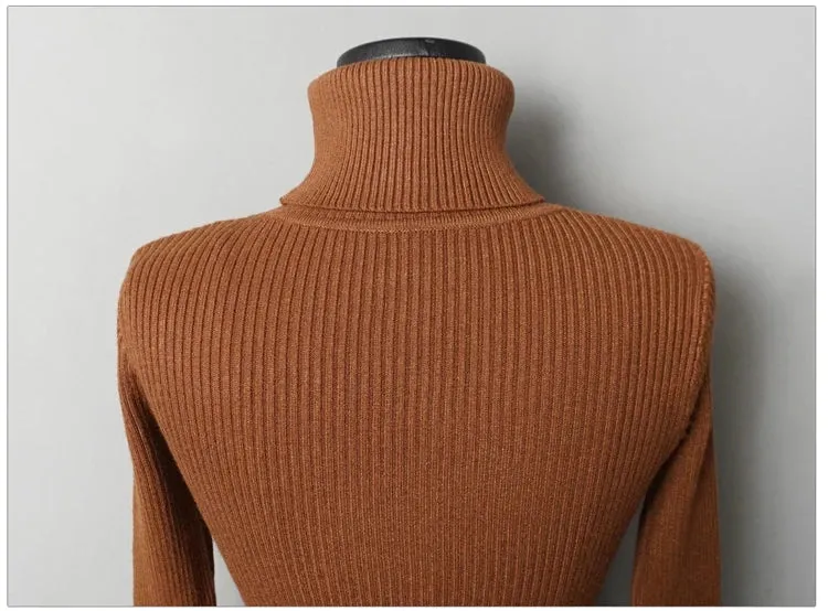 Turtleneck Knit Bodycon Mini Long Sleeve Winter Dress