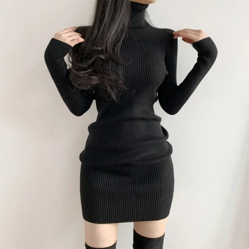 Turtleneck Knit Bodycon Mini Long Sleeve Winter Dress