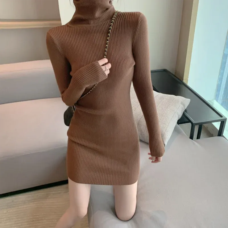 Turtleneck Knit Bodycon Mini Long Sleeve Winter Dress