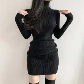 Turtleneck Knit Bodycon Mini Long Sleeve Winter Dress