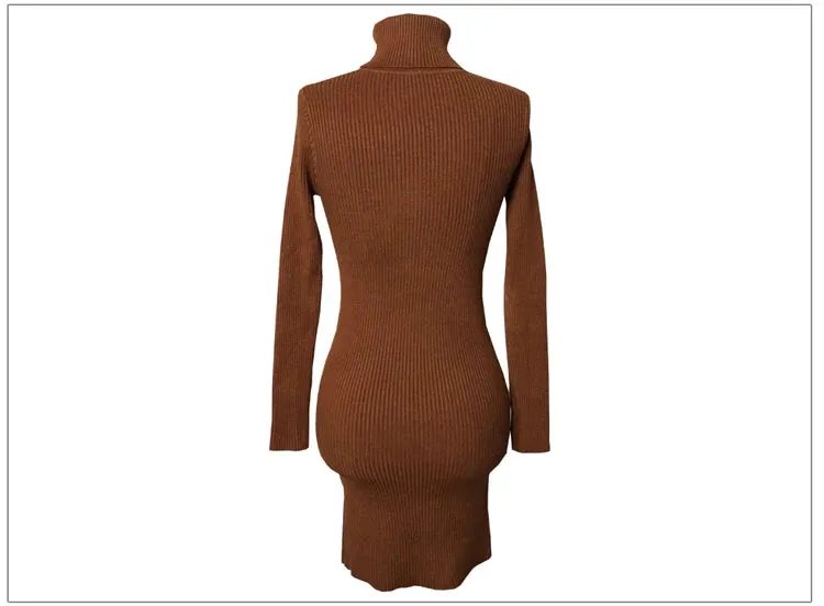 Turtleneck Knit Bodycon Mini Long Sleeve Winter Dress