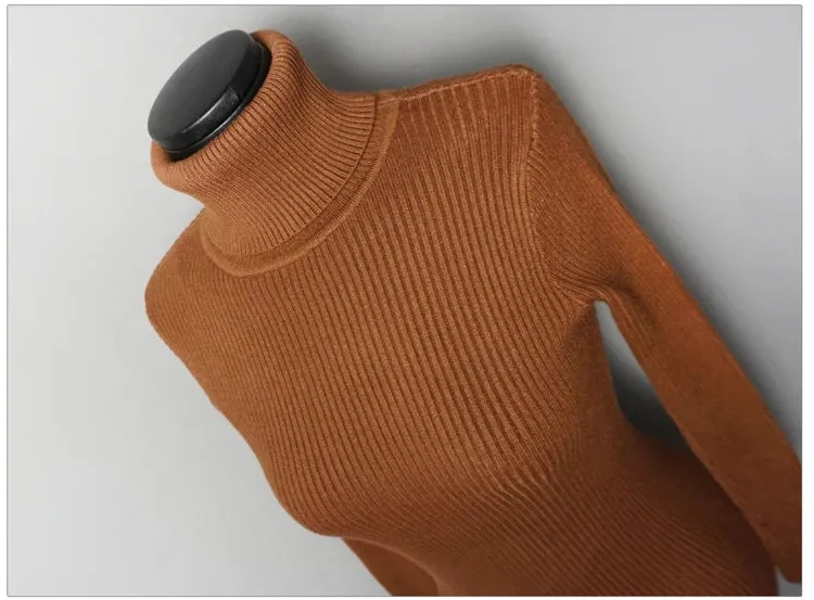 Turtleneck Knit Bodycon Mini Long Sleeve Winter Dress