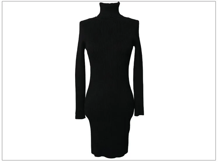 Turtleneck Knit Bodycon Mini Long Sleeve Winter Dress