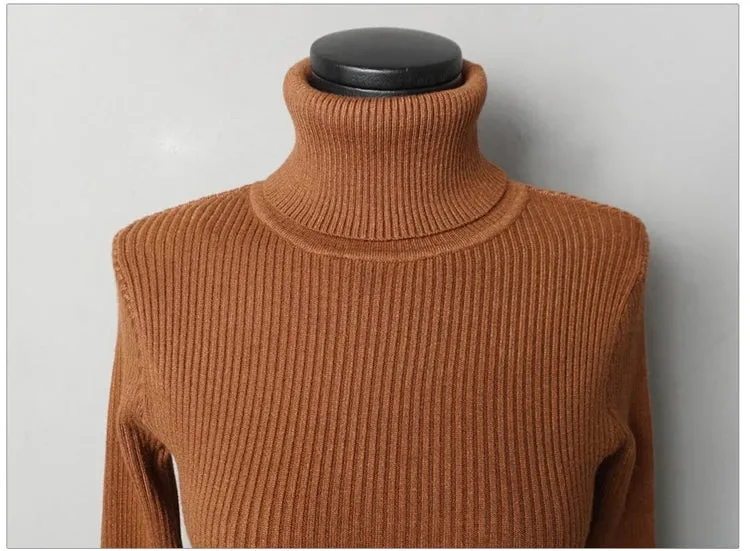 Turtleneck Knit Bodycon Mini Long Sleeve Winter Dress