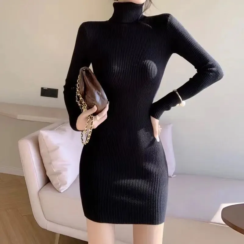 Turtleneck Knit Bodycon Mini Long Sleeve Winter Dress