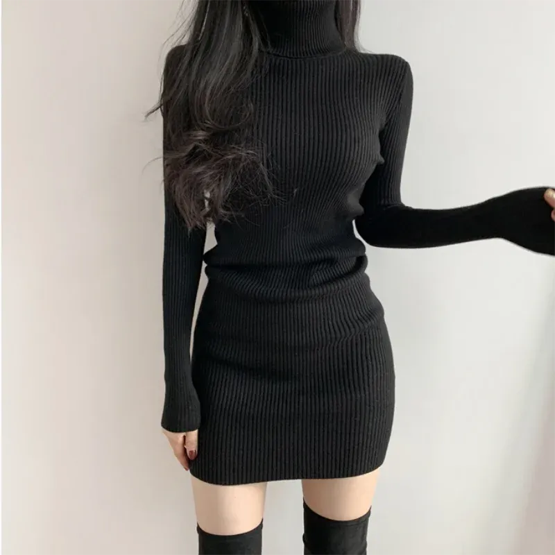 Turtleneck Knit Bodycon Mini Long Sleeve Winter Dress